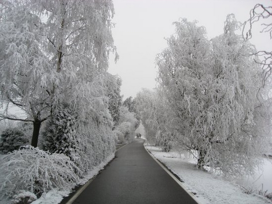 Harnaschpolder Harnaschwetering sneeuw
