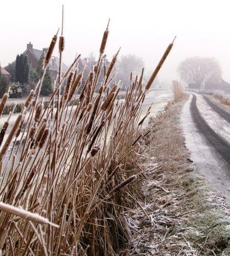 Harnaschpolder Harnaschwetering sneeuw