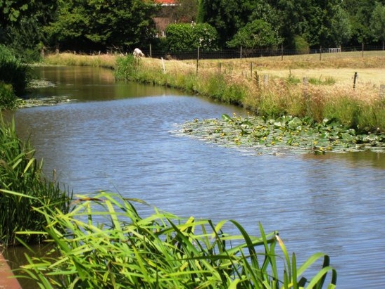 Harnaschpolder Harnaschwetering Harnaschpolder Harnaschwetering