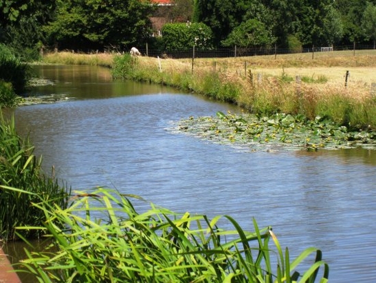 Harnaschpolder Harnaschwetering