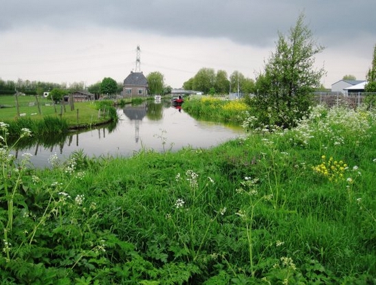 Harnaschpolder Harnaschwetering