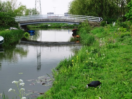 Harnaschpolder Harnaschwetering