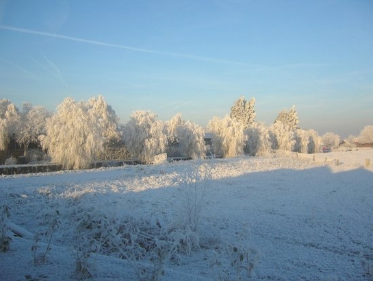 Harnaschpolder Harnaschwetering sneeuw