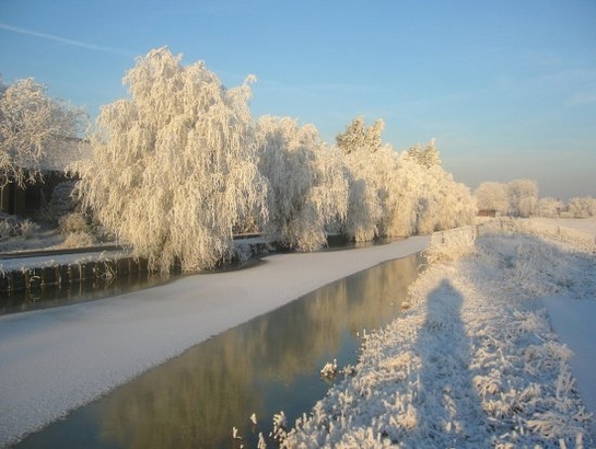 Harnaschpolder Harnaschwetering sneeuw