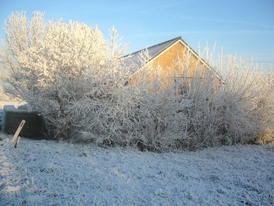 Harnaschpolder Harnaschwetering sneeuw