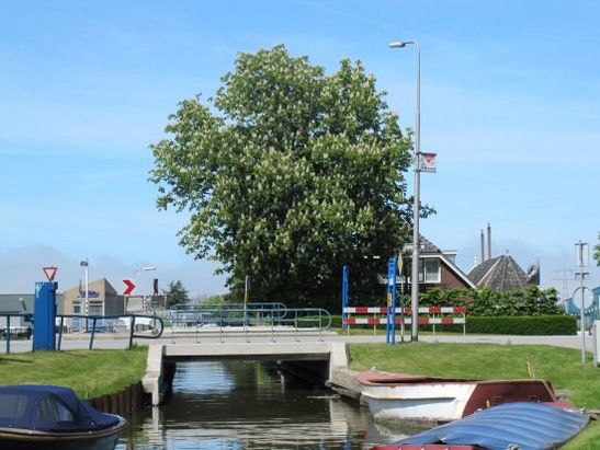 Harnaschwetering