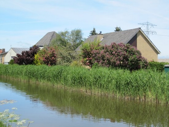 Harnaschwetering Harnaschwetering