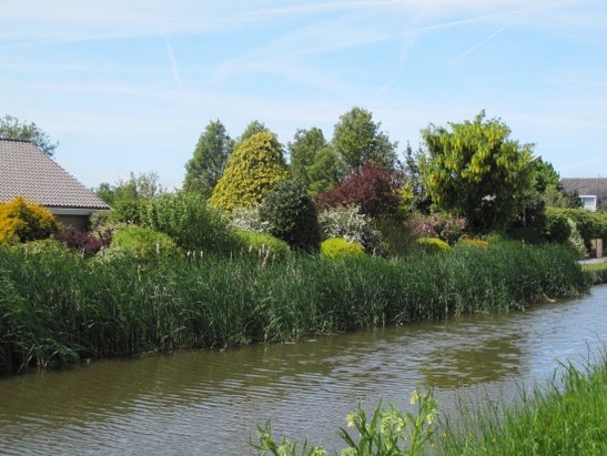 Harnaschpolder Harnaschwetering