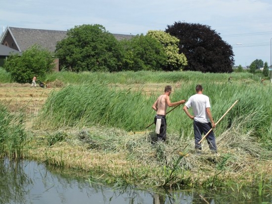 Harnaschwetering hooien Harnaschwetering hooien