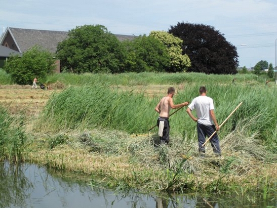 Harnaschwetering hooien