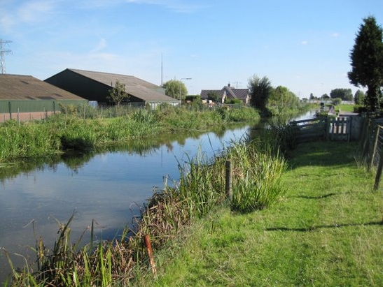 Harnaschpolder Harnaschwetering