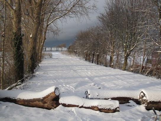 Harnaschpolder Harnaschwetering sneeuw
