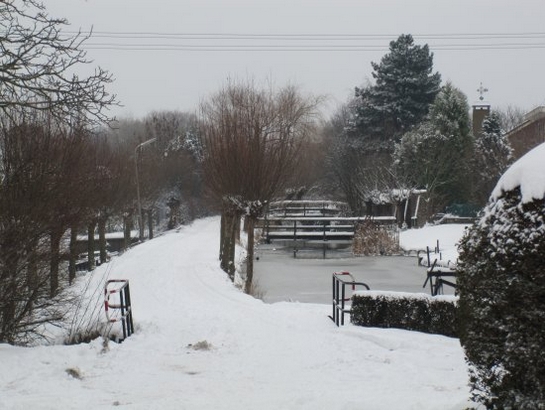 Woudselaan in de sneeuw