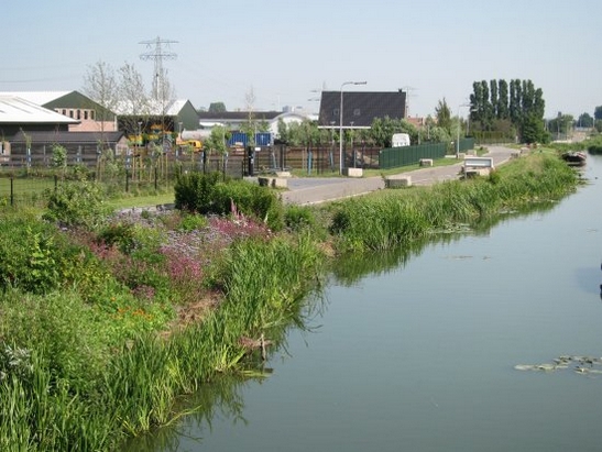 Harnaschpolder Harnaschwetering