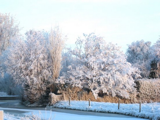 Harnaschpolder Harnaschwetering sneeuw