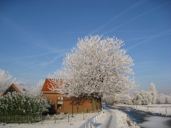 Harnaschpolder Harnaschwetering sneeuw