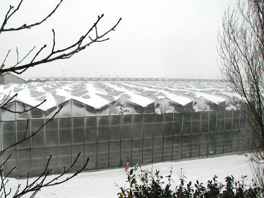 Kas sneeuw