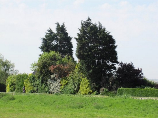 Harnaschpolder Harnaschwetering Harnaschpolder Harnaschwetering