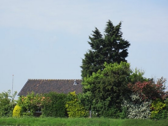 Harnaschpolder Harnaschwetering