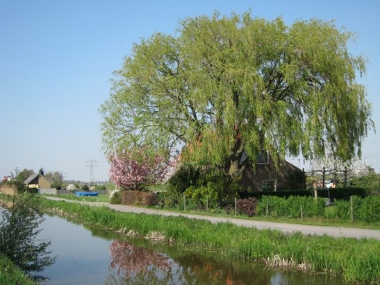 Harnaschwetering Harnaschwetering