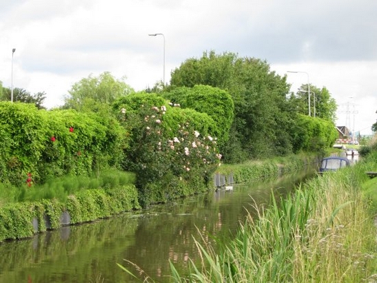 Harnaschwetering Harnaschwetering