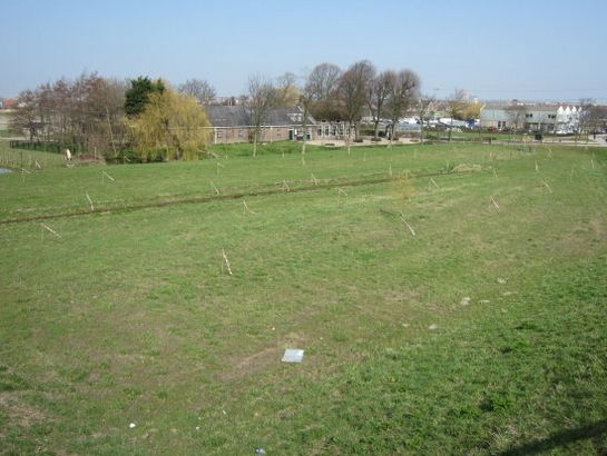 Woudseweg Woudseweg