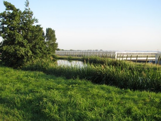 Harnaschpolder Harnaschwetering