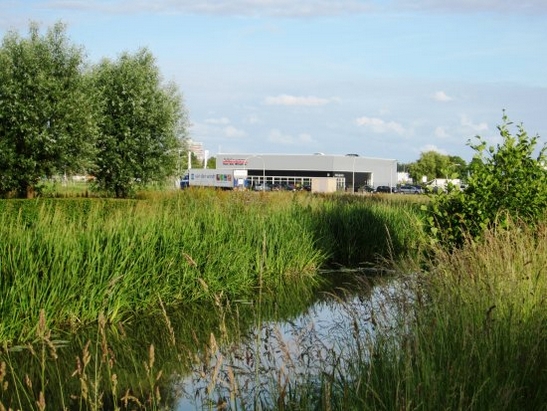 Harnaschwetering Harnaschwetering
