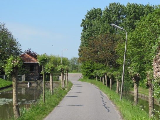 Duiker en overstort Harnaschpolder