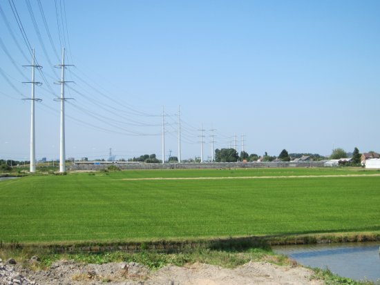 Harnaschpolder Hoogspanningstrace 380/150KV