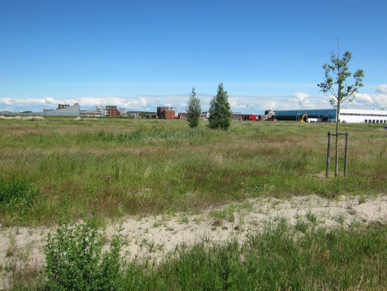 Harnaschpolder ruimte voor bedrijven Harnaschpolder ruimte voor bedrijven